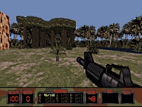 Platoon: Widescreen statusbar and rifle